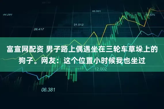 富宣网配资 男子路上偶遇坐在三轮车草垛上的狗子。网友：这个位置小时候我也坐过